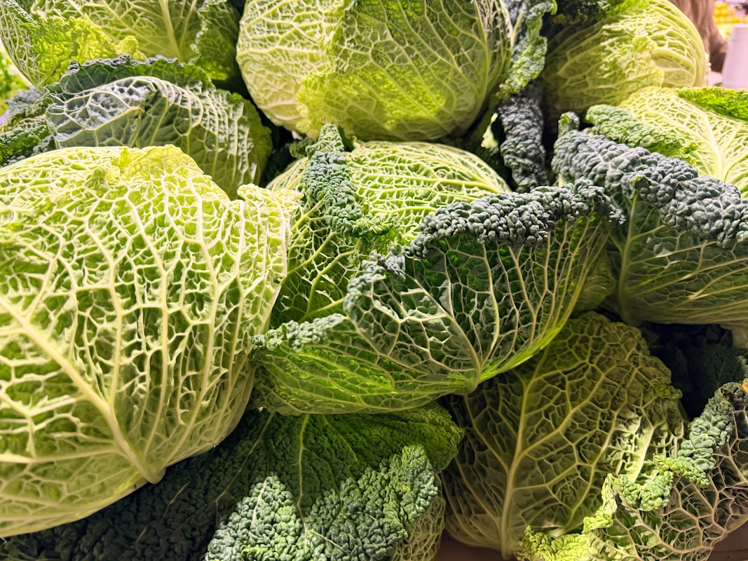 Verdure ricche di fibre: cavolo, broccoli, carote e spinaci